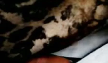 Berhubungan seks dengan dada indo viral xxx di atas panggung ruang latihan