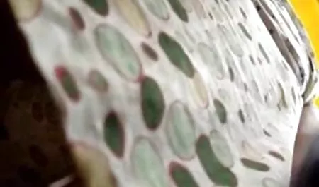 Adria Rae sendiri mulai bercinta di video bokep indo lagi viral dermaga di dermaga bersama Tony Rubino