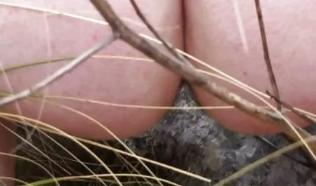 Tee di video bokep indo yang lagi viral dapur tidak termasuk dalam rencana pacar