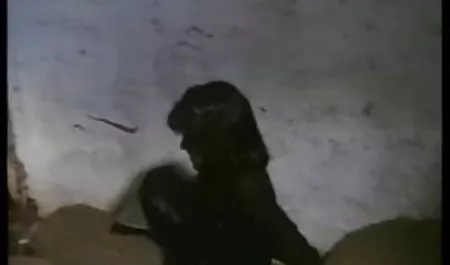 Saudara-saudara bokep indo yang viral tetangga menarik Rush Kristal Rusia yang kaya pada boneka-bonekanya