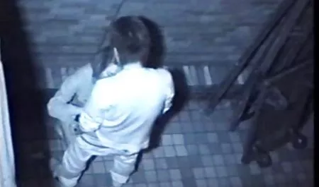 Pesta di dalam video viral bokep indo van